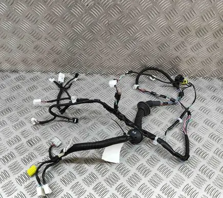 Front door wiring loom