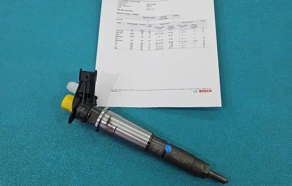 Renault Koleos I Fuel injector 0445115007 IMPRK1486031