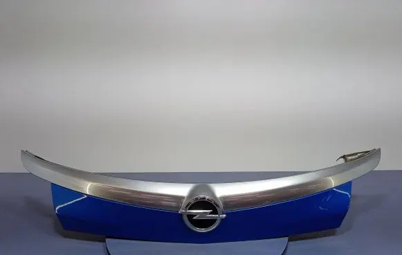 Opel Insignia A Number plate light 13272845