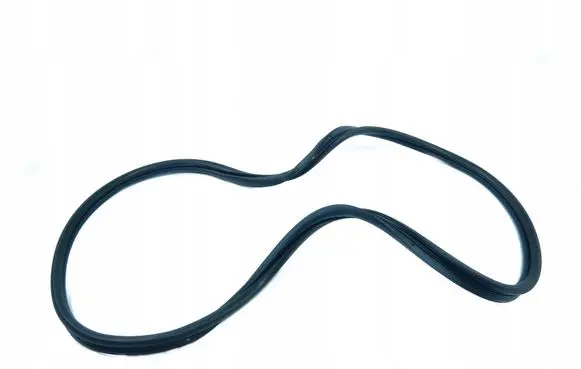 Fiat Palio Rubber seal rear door 46415186