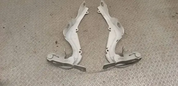 Citroen C3 Engine bonnet/hood hinges 