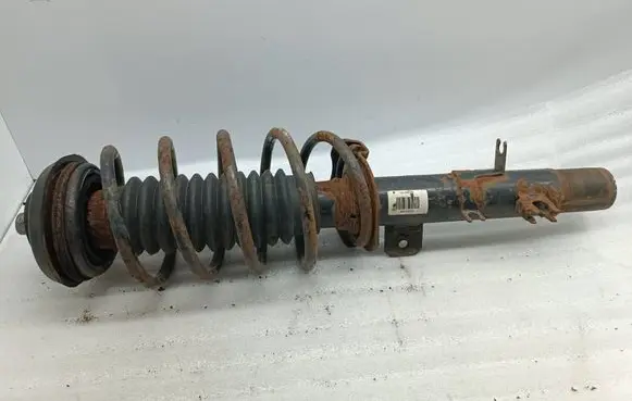 Citroen C3 Front shock absorber with coil spring 9653095380