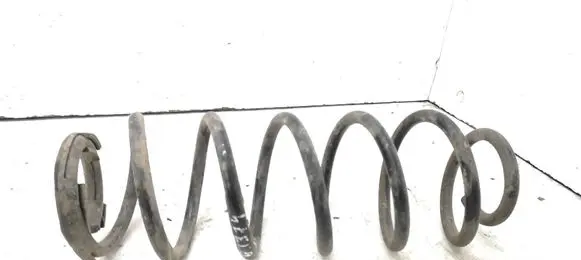 Rear coil spring