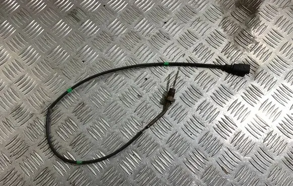 Volkswagen Multivan T6 Exhaust gas temperature sensor 04L906088DC 1J0973802