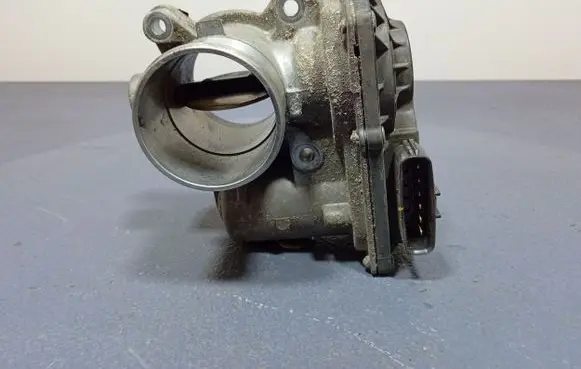 Throttle body valve
