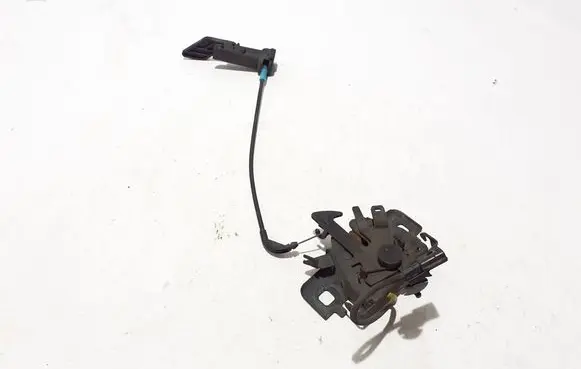 Renault Trafic III (X82) Engine bonnet (hood) release handle 656011705R