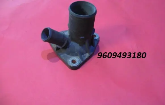 Thermostat/thermostat housing