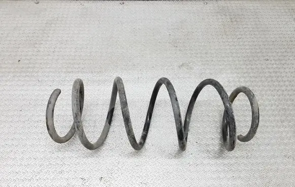 Front coil spring