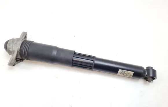 Volkswagen ID.4 Rear shock absorber/damper 1EA512013BD