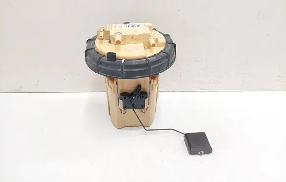 Citroen C4 I Picasso In-tank fuel pump 9684995280