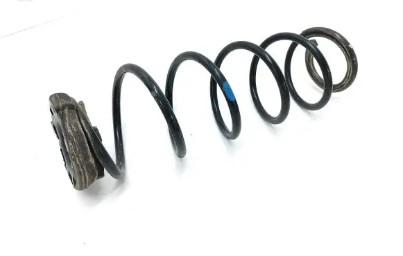Renault Laguna III Rear coil spring