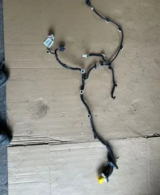 Peugeot 208 II Rear door wiring loom 9834129780 0R0700