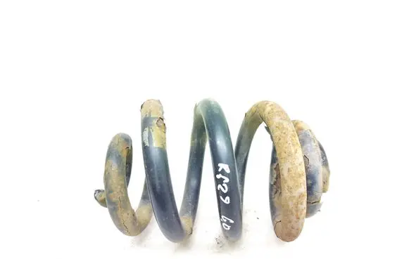 Rear coil spring