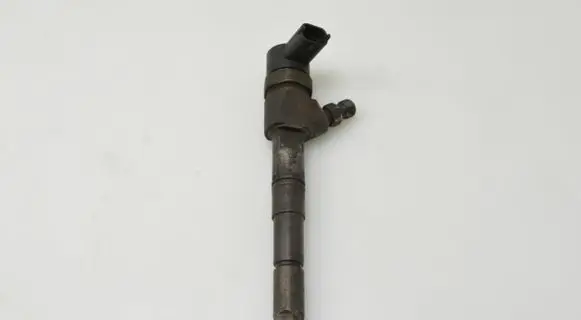 Opel Insignia A Fuel injector 55577668