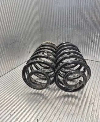 Rear coil spring