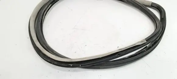 Volkswagen Golf IV Front door rubber seal