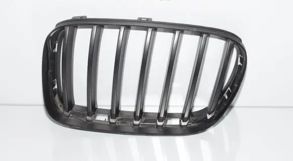 BMW X3 F25 Front grill 7210725 51117210725