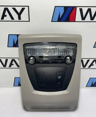 BMW 5 F10 F11 Headlining lighting console trim 