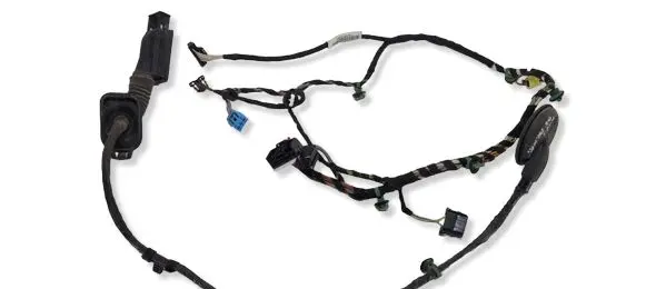 Volkswagen PASSAT B8 Front door wiring loom 3G1971120H
