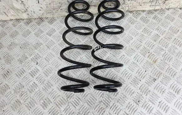 Rear coil spring
