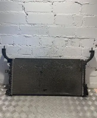 Renault Laguna III Coolant radiator 214100004R