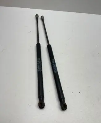 Tailgate/trunk strut/damper