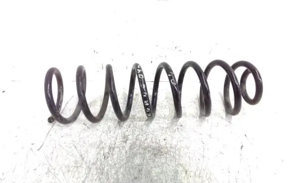 Renault Megane II Rear coil spring