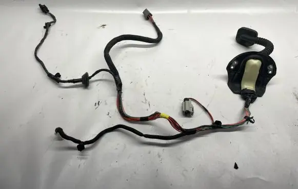 Dodge RAM 1500 DS Other wiring loom 71844230
