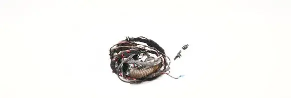 BMW 5 G30 G31 G38 Front door wiring loom 8795334 6263710