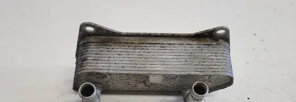 Volkswagen PASSAT B6 Engine oil radiator 02E409061B 023010307