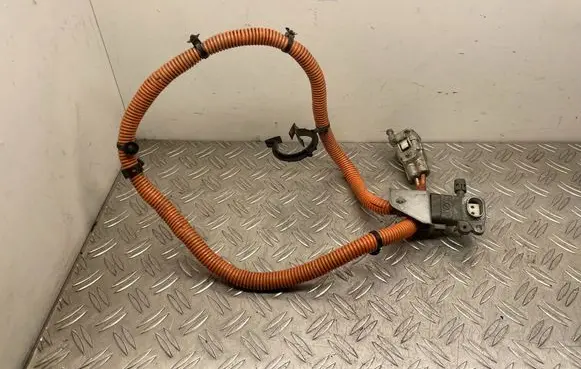 Ford Fusion II Other wiring loom