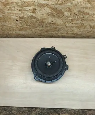 Front door speaker