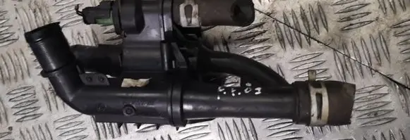 Thermostat/thermostat housing