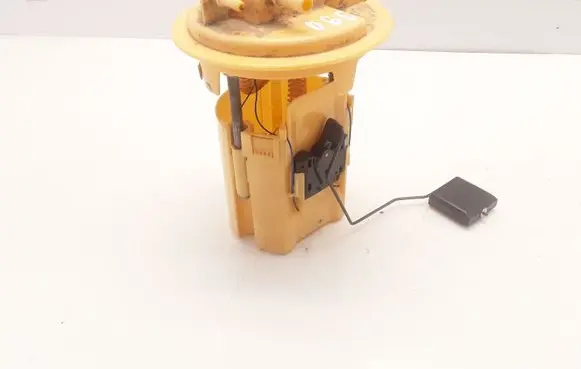 Citroen Berlingo In-tank fuel pump 9684995280 00188