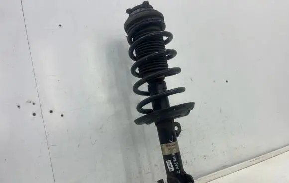 Opel Zafira B Front shock absorber/damper 22141590
