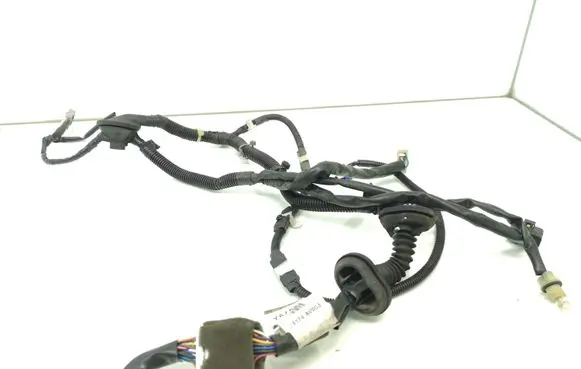 Front door wiring loom