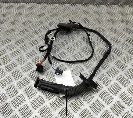 Cupra Formentor Rear door wiring loom 5FA971161F