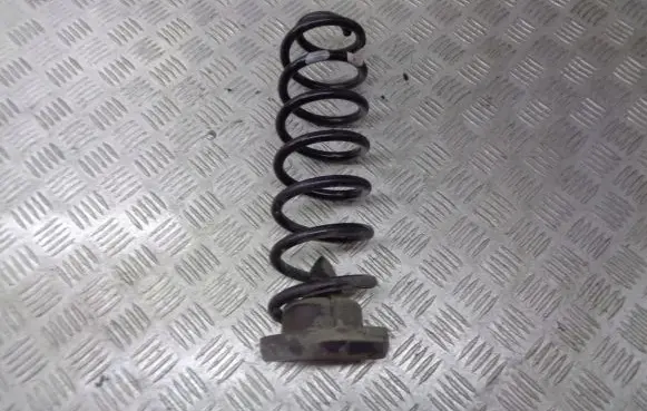 Renault Megane I Rear coil spring