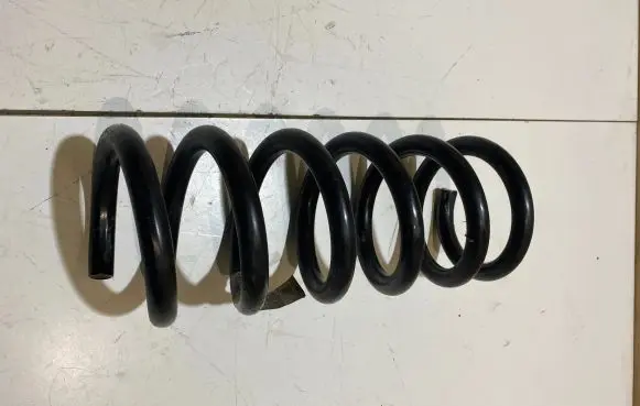 Ford Mustang VI Rear coil spring FR3C5560LC