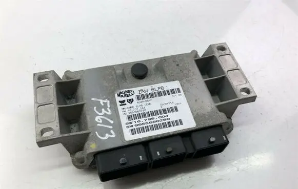 Citroen C5 Other control units/modules 9653962780 F3613