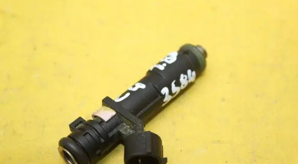 Citroen C4 I Fuel injector