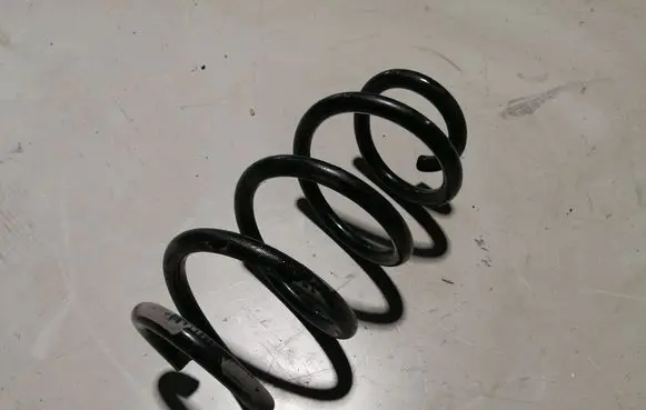 Front coil spring