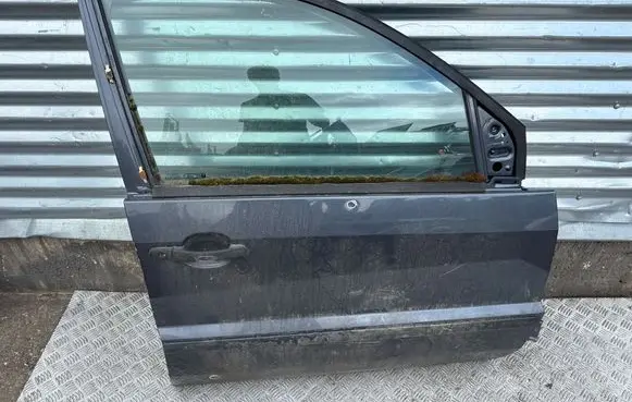 Ford Fusion Front door
