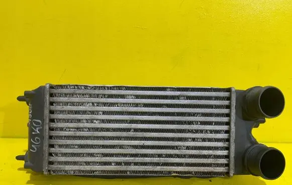 Ford Fiesta Intercooler radiator AV219L440AB