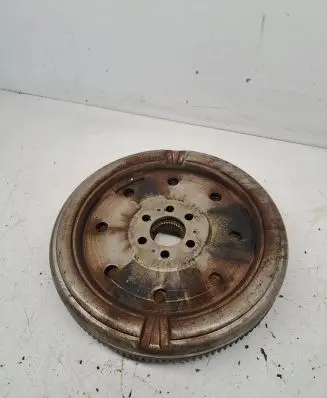 Volkswagen PASSAT B6 Flywheel 012295000541