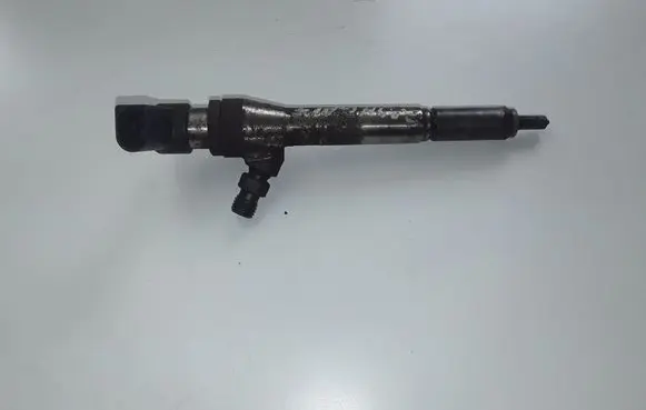 Nissan Qashqai+2 Fuel injector 166009445R