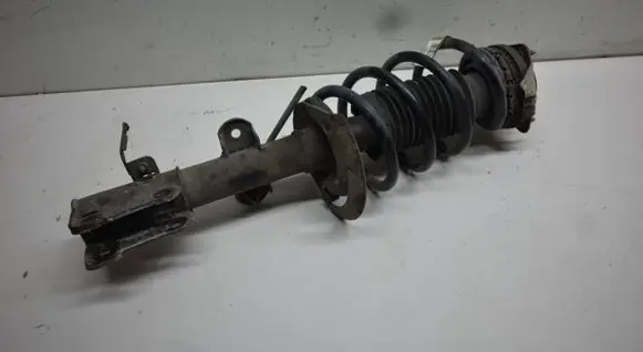 Dodge Grand Caravan Front shock absorber with coil spring