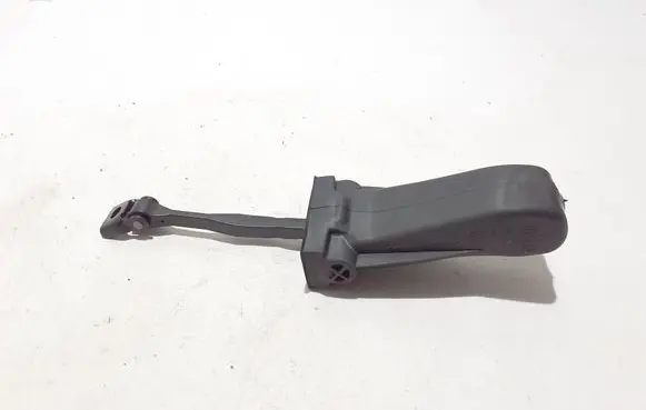 Cupra Formentor Rear door check strap stopper 5FF839249