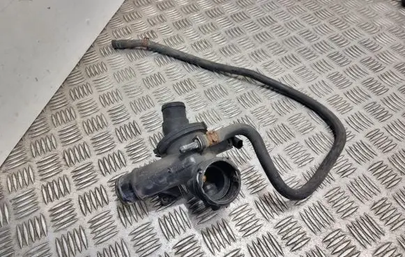 Thermostat/thermostat housing