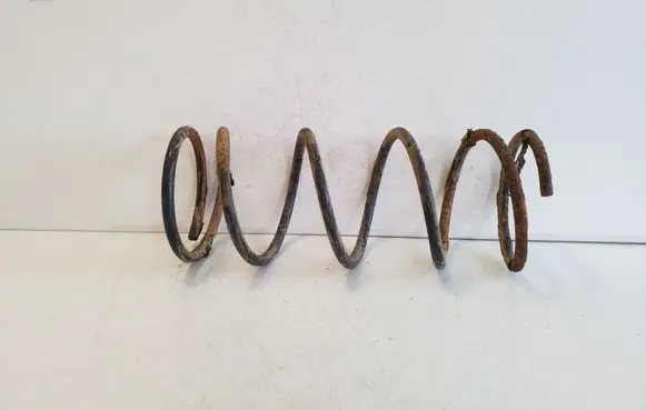 Rear coil spring